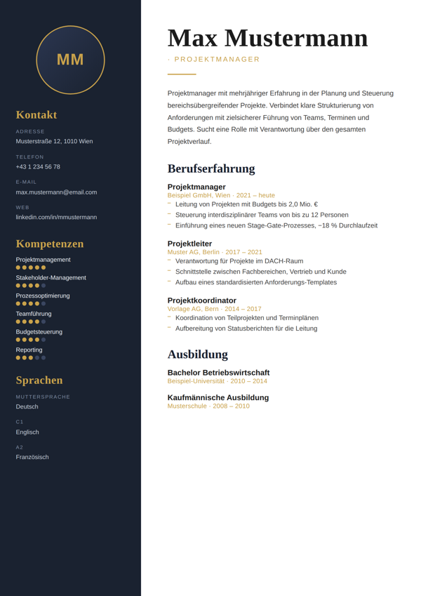 Vorlage Executive Dunkel